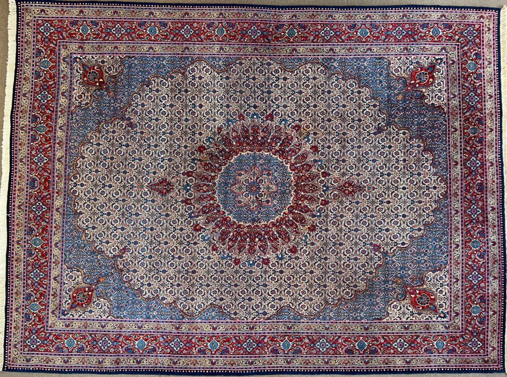meshed persian 9-11x13-3 ws