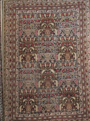 Ali Hoja, Afghan (6' 5'' x 10')