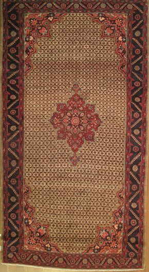 05553 Serab Persian Beige Red Blue 5-4×9-9 | Manoukian Rugs™ ws