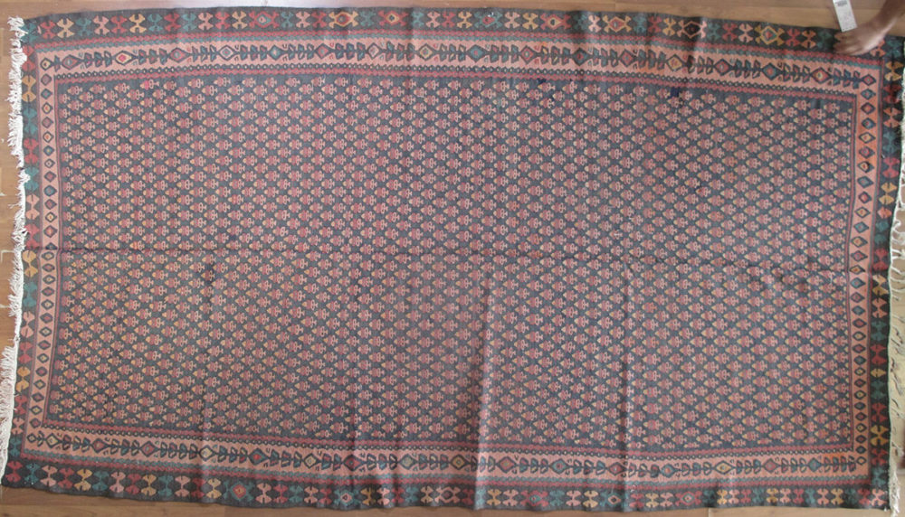 Flat Weave, Seneh, Persian (5' 7" x 9' 11")