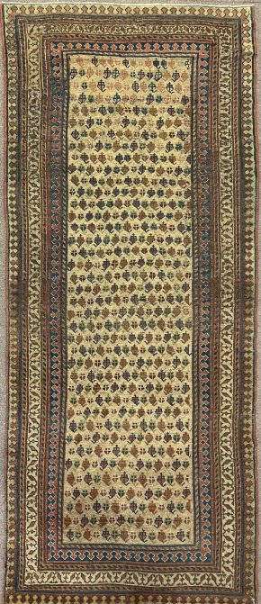 kurdish persian 3-4x7-10 ws